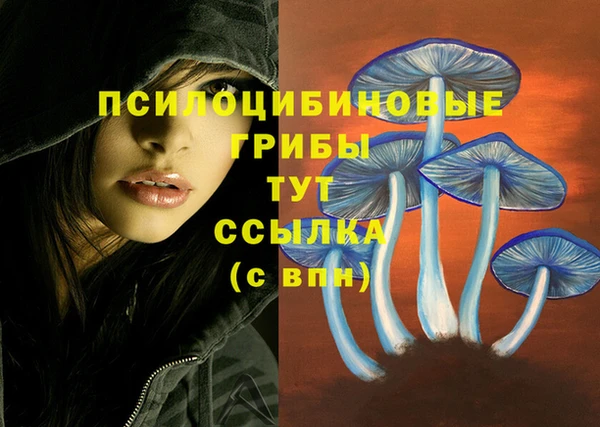 каннабис Верхний Тагил
